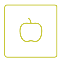 ICON-CIDRE-VERT@2x